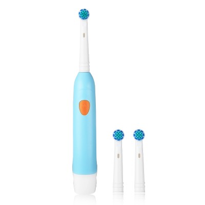 SG-2004 Waterproof  IPX7 Battery rotating electric toothbrush